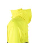 Promotional Hexachrome yellow VL VENUS d