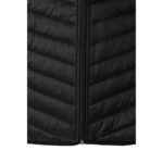 Promotional Black VL RAIJIN c