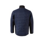 Promotional Blue VL RAIJIN a