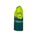 Promotional Green/Yellow VL BASTET b