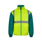 Promotional Green/Yellow VL JUNO d