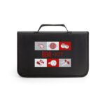 Promotional Black FLARE b