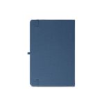 Promotional Blue ANNE b