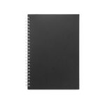 Promotional Black SCHILLER a