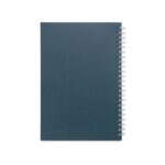 Promotional Blue SCHILLER b