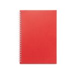 Promotional Red SCHILLER a