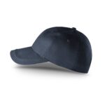 Promotional Blue RYAN c