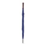 Promotional Blue ZANE a