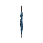 Promotional Blue APOLO a