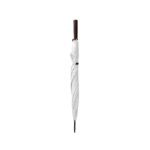 Promotional White APOLO a