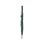 Promotional Dark green APOLO a