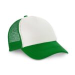 Custom logo NICOLA