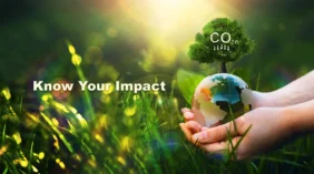 Carbon Footprint Data, Built Into Product Browsing
