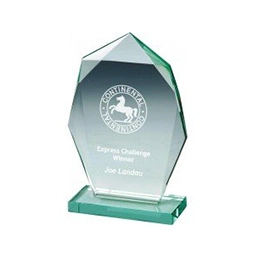 Custom Awards and Trophies