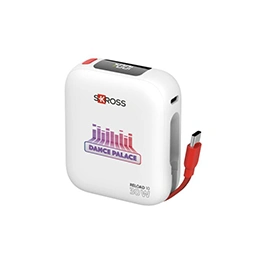 Power Chargers with Custom Logo